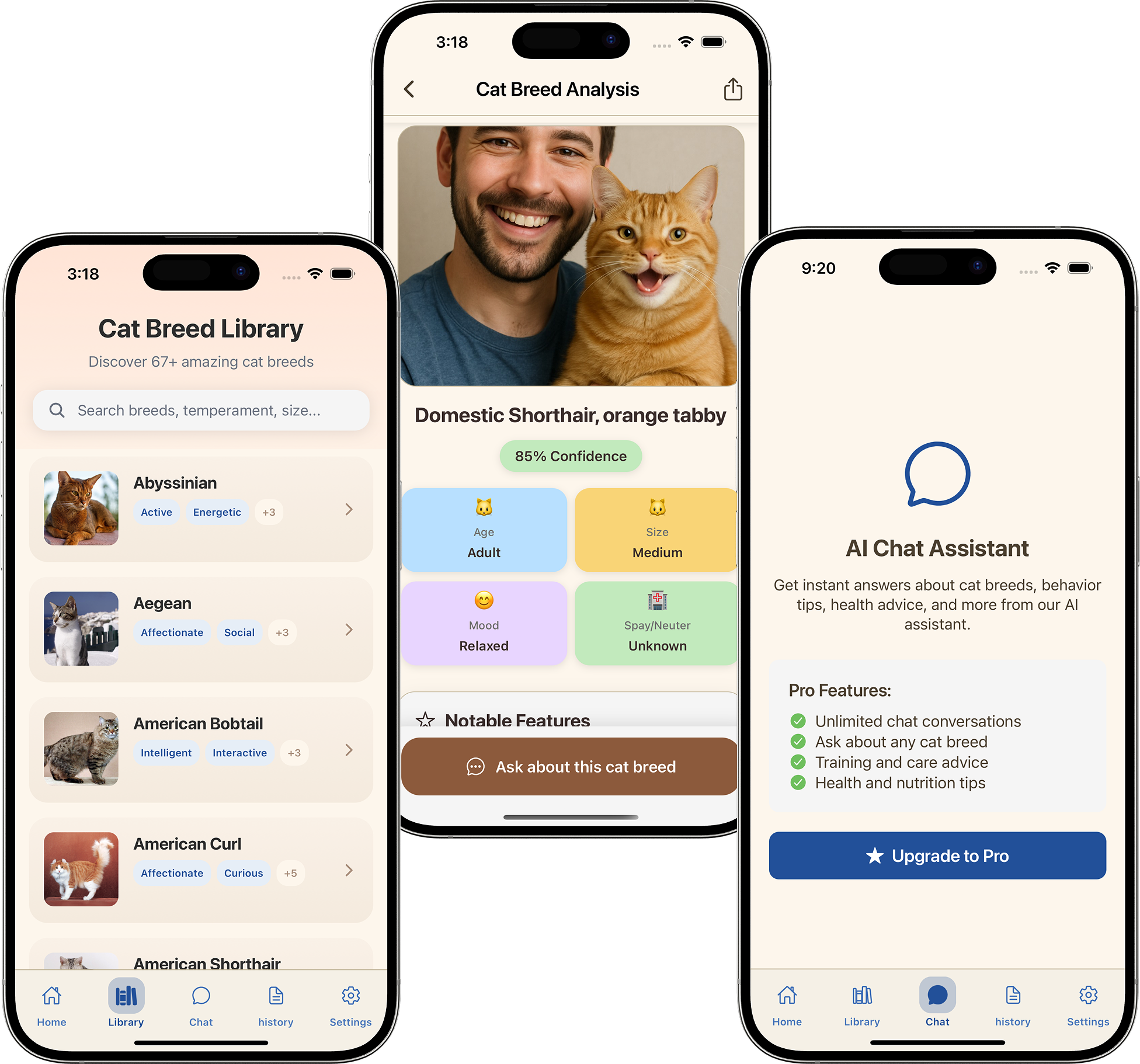 Identify Cat Breeds with Cat AI